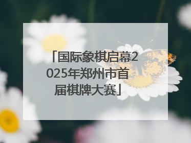 国际象棋启幕2025年郑州市首届棋牌大赛