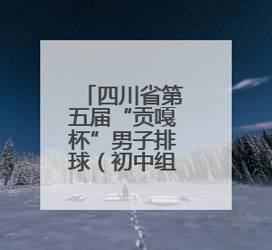 四川省第五届“贡嘎杯”男子排球（初中组）总决赛开赛 自贡这支队伍打进半决赛