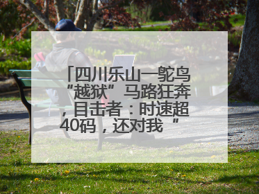 四川乐山一鸵鸟“越狱”马路狂奔，目击者：时速超40码，还对我“笑”了下