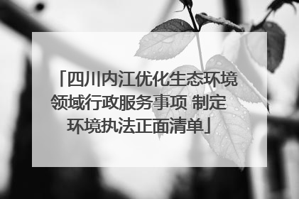 四川内江优化生态环境领域行政服务事项 制定环境执法正面清单