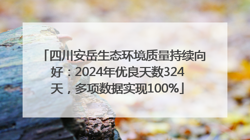 四川安岳生态环境质量持续向好：2024年优良天数324天，多项数据实现100%