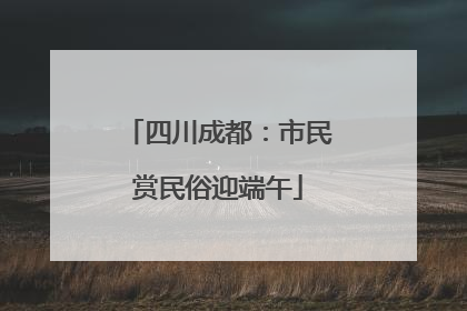 四川成都：市民赏民俗迎端午