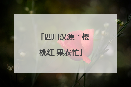 四川汉源：樱桃红 果农忙