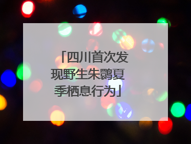 四川首次发现野生朱鹮夏季栖息行为