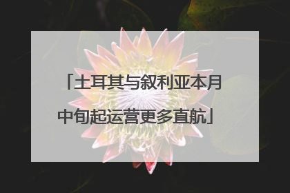 土耳其与叙利亚本月中旬起运营更多直航