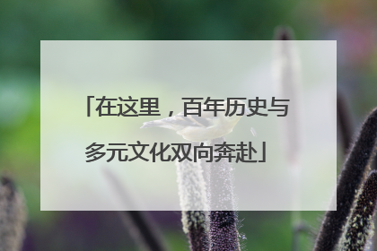 在这里，百年历史与多元文化双向奔赴