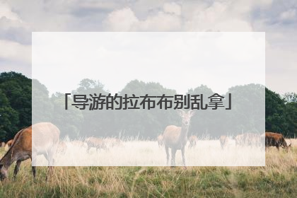 导游的拉布布别乱拿