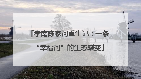 孝南陈家河重生记：一条“幸福河”的生态蝶变