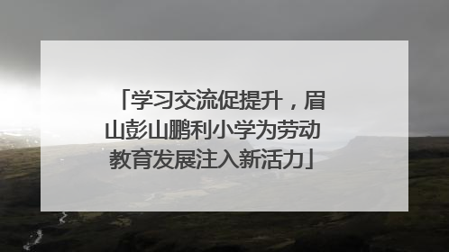 学习交流促提升，眉山彭山鹏利小学为劳动教育发展注入新活力