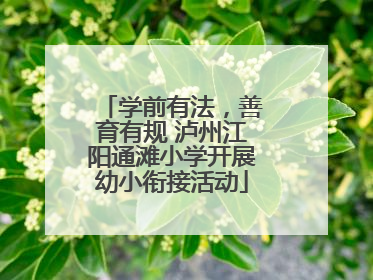 学前有法，善育有规 泸州江阳通滩小学开展幼小衔接活动