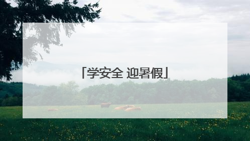 学安全 迎暑假