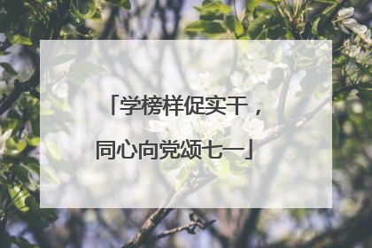 学榜样促实干，同心向党颂七一