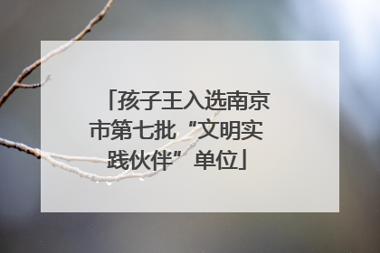 孩子王入选南京市第七批“文明实践伙伴”单位