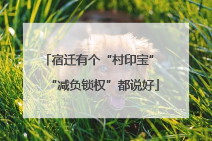 宿迁有个“村印宝” “减负锁权”都说好