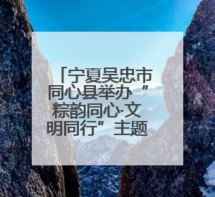 宁夏吴忠市同心县举办“粽韵同心·文明同行”主题活动