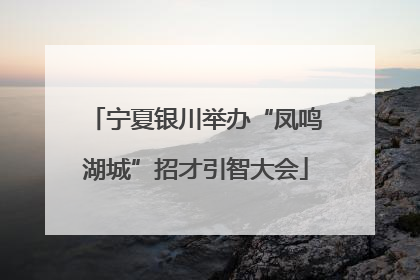 宁夏银川举办“凤鸣湖城”招才引智大会