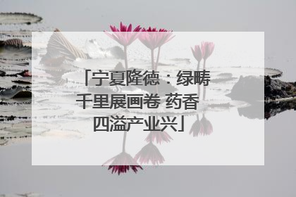宁夏隆德：绿畴千里展画卷 药香四溢产业兴
