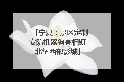 宁夏：景区定制安防机器狗亮相镇北堡西部影城