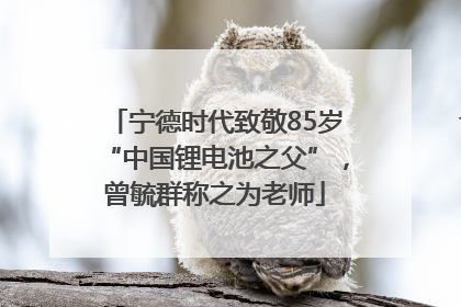 宁德时代致敬85岁“中国锂电池之父”，曾毓群称之为老师