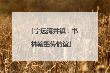 宁远湾井镇：书林翰墨传情谊
