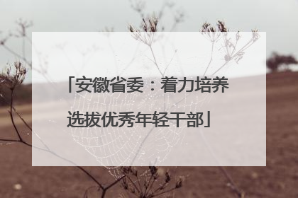 安徽省委：着力培养选拔优秀年轻干部