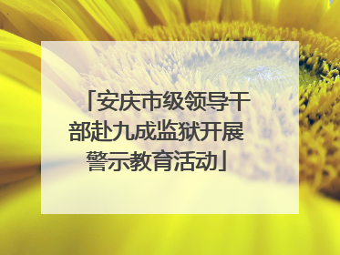 安庆市级领导干部赴九成监狱开展警示教育活动