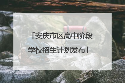安庆市区高中阶段学校招生计划发布