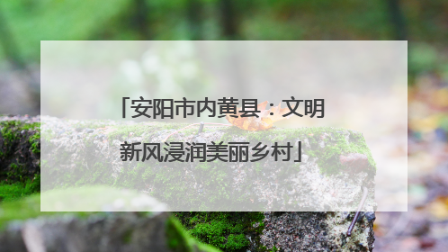 安阳市内黄县：文明新风浸润美丽乡村
