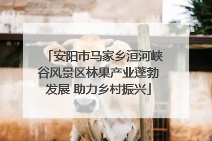 安阳市马家乡洹河峡谷风景区林果产业蓬勃发展 助力乡村振兴