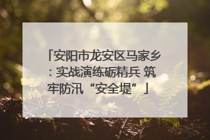 安阳市龙安区马家乡：实战演练砺精兵 筑牢防汛“安全堤”
