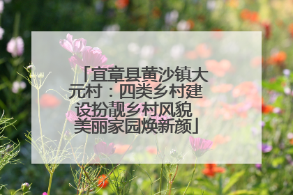 宜章县黄沙镇大元村：四类乡村建设扮靓乡村风貌 美丽家园焕新颜