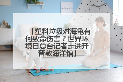 塑料垃圾对海龟有何致命伤害？世界环境日总台记者走进开普敦海洋馆