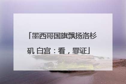 墨西哥国旗飘扬洛杉矶 白宫：看，罪证