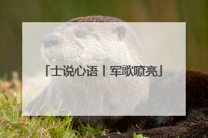 士说心语丨军歌嘹亮