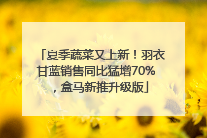 夏季蔬菜又上新！羽衣甘蓝销售同比猛增70%，盒马新推升级版