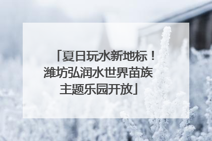 夏日玩水新地标！潍坊弘润水世界苗族主题乐园开放