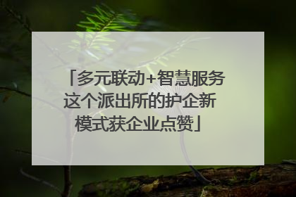 多元联动+智慧服务 这个派出所的护企新模式获企业点赞
