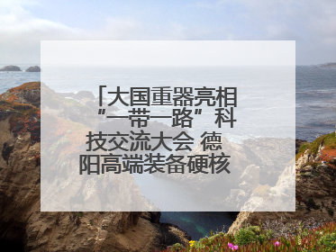 大国重器亮相“一带一路”科技交流大会 德阳高端装备硬核成果彰显实力