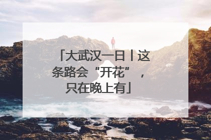 大武汉一日丨这条路会“开花”，只在晚上有