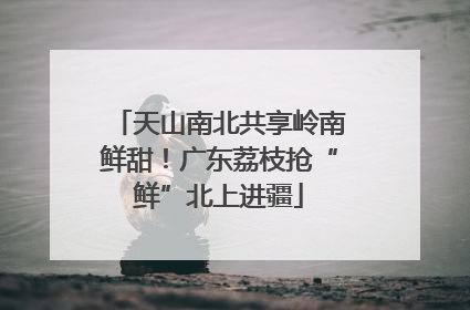 天山南北共享岭南鲜甜！广东荔枝抢“鲜”北上进疆