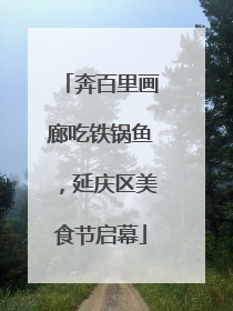 奔百里画廊吃铁锅鱼，延庆区美食节启幕