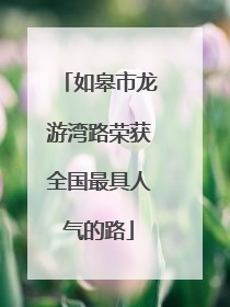 如皋市龙游湾路荣获全国最具人气的路