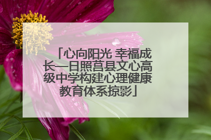 心向阳光 幸福成长—日照莒县文心高级中学构建心理健康教育体系掠影