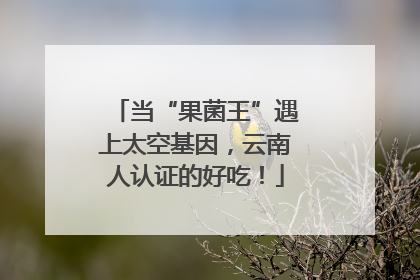 当“果菌王”遇上太空基因，云南人认证的好吃！