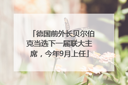 德国前外长贝尔伯克当选下一届联大主席，今年9月上任