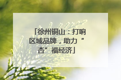 徐州铜山：打响区域品牌，助力“杏”福经济