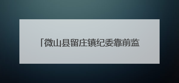 微山县留庄镇纪委靠前监督 保障夏粮颗粒归仓