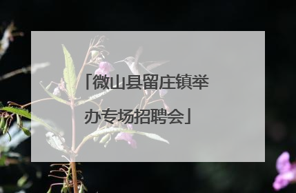 微山县留庄镇举办专场招聘会