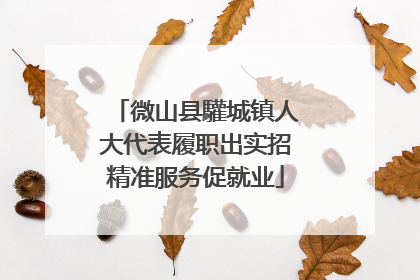 微山县驩城镇人大代表履职出实招精准服务促就业