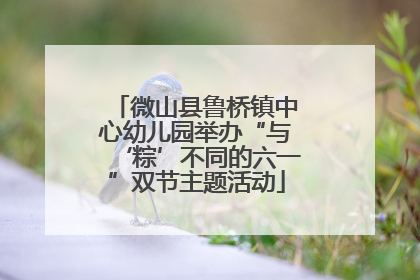 微山县鲁桥镇中心幼儿园举办“与‘粽’不同的六一”双节主题活动